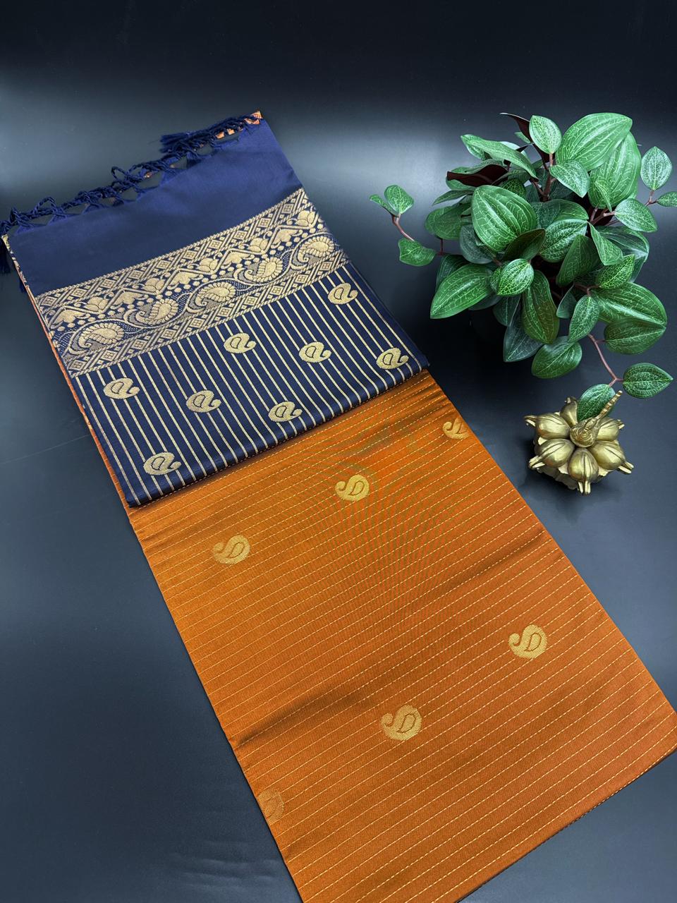 Rustic Orange Dupion Silk Saree and Navy Blue Border with Mango buttas