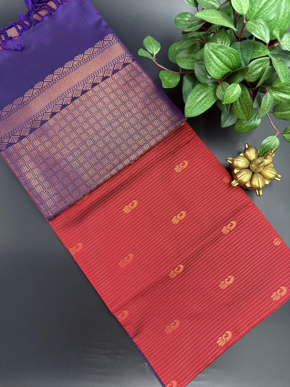Red Dupion Silk Saree and Navy Blue Border